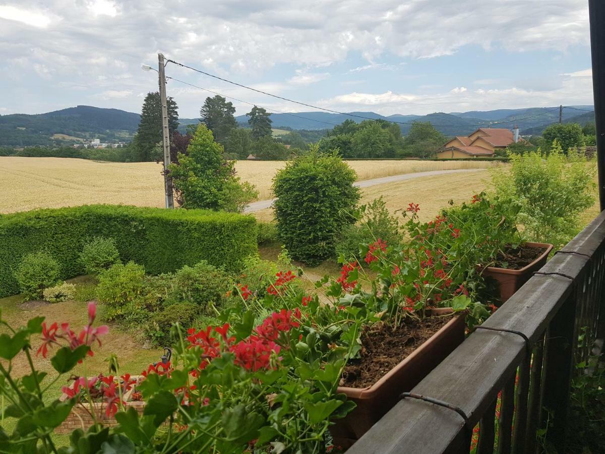 Le Clos Des Aulnes Anould Kültér fotó